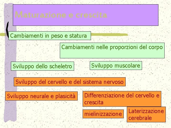 Maturazione e crescita Cambiamenti in peso e statura Cambiamenti nelle proporzioni del corpo Sviluppo