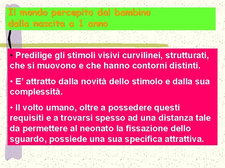 Il mondo percepito dal bambino dalla nascita a 1 anno • Predilige gli stimoli