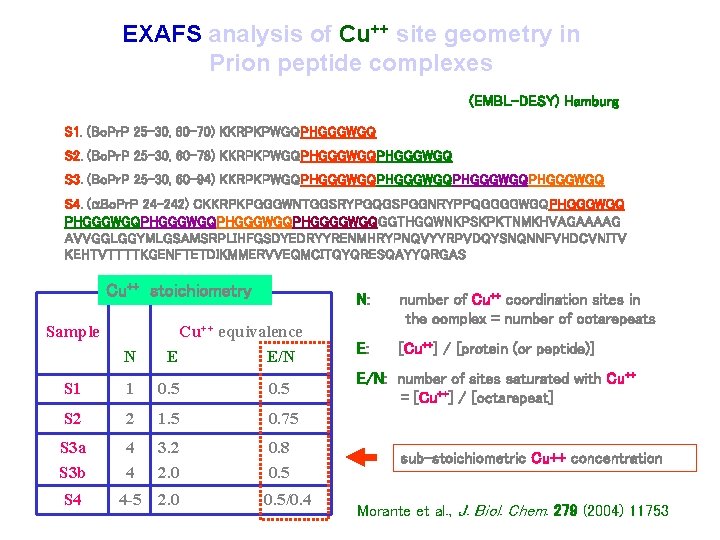 EXAFS analysis of Cu++ site geometry in Prion peptide complexes (EMBL-DESY) Hamburg S 1.