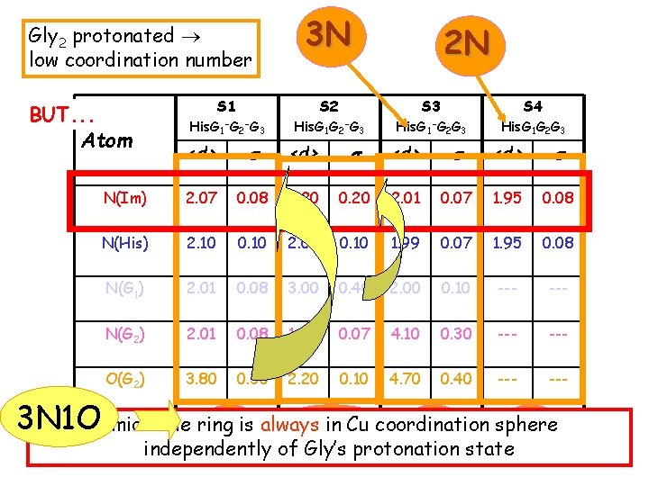 Gly 2 protonated low coordination number BUT. . . Atom 3 N 2 N