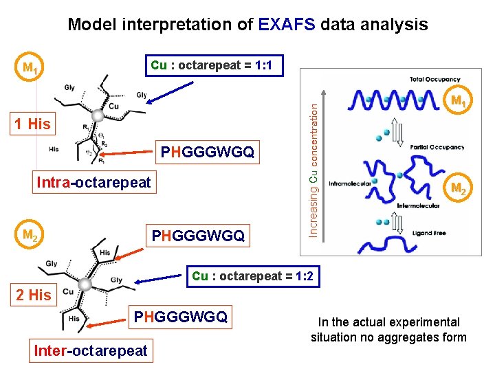 Model interpretation of EXAFS data analysis 1 His PHGGGWGQ Intra-octarepeat PHGGGWGQ M 2 Increasing