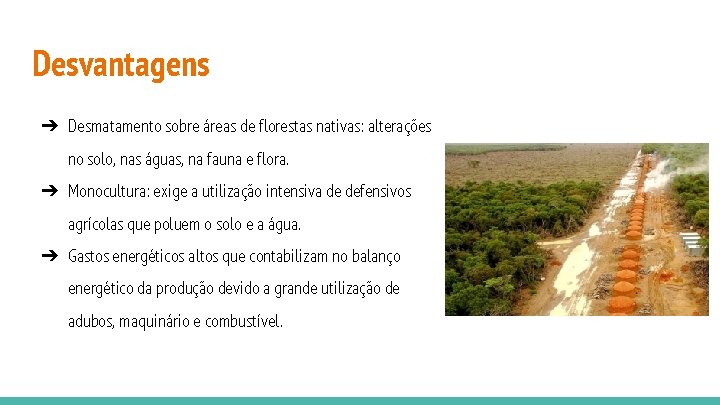 Desvantagens ➔ Desmatamento sobre áreas de florestas nativas: alterações no solo, nas águas, na