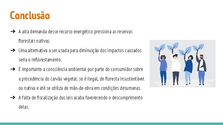 Conclusão ➔ A alta demanda desse recurso energético pressiona as reservas florestais nativas. ➔