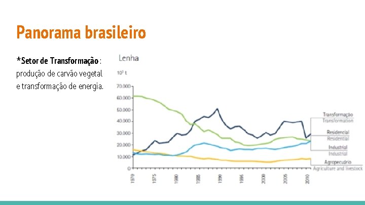 Panorama brasileiro *Setor de Transformação : produção de carvão vegetal e transformação de energia.