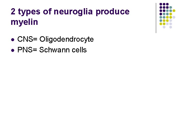 2 types of neuroglia produce myelin l l CNS= Oligodendrocyte PNS= Schwann cells 