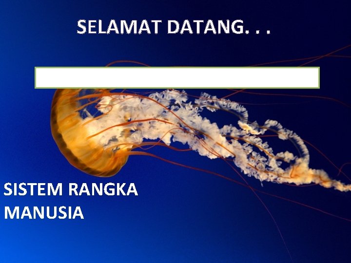 SELAMAT DATANG. . . SISTEM RANGKA Menu Kompetensi Materi Video SISTEM RANGKA MANUSIA Soal