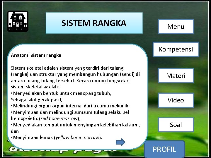 SISTEM RANGKA Anatomi sistem rangka Sistem skeletal adalah sistem yang terdiri dari tulang (rangka)