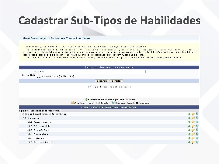 Cadastrar Sub-Tipos de Habilidades 