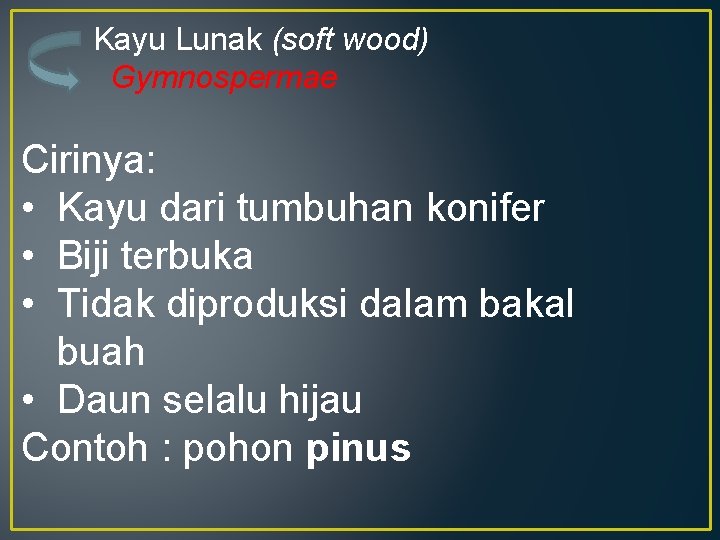 Kayu Lunak (soft wood) Gymnospermae Cirinya: • Kayu dari tumbuhan konifer • Biji terbuka