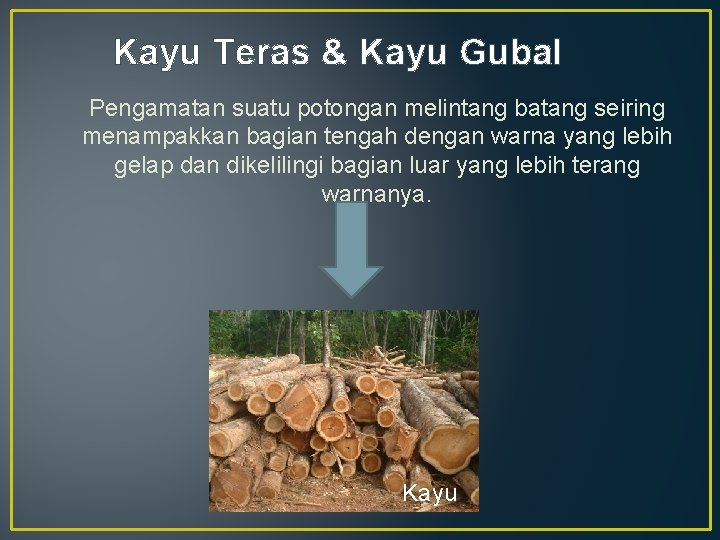Kayu Teras & Kayu Gubal Pengamatan suatu potongan melintang batang seiring menampakkan bagian tengah