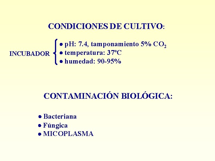 CONDICIONES DE CULTIVO: INCUBADOR p. H: 7. 4, tamponamiento 5% CO 2 temperatura: 37ºC