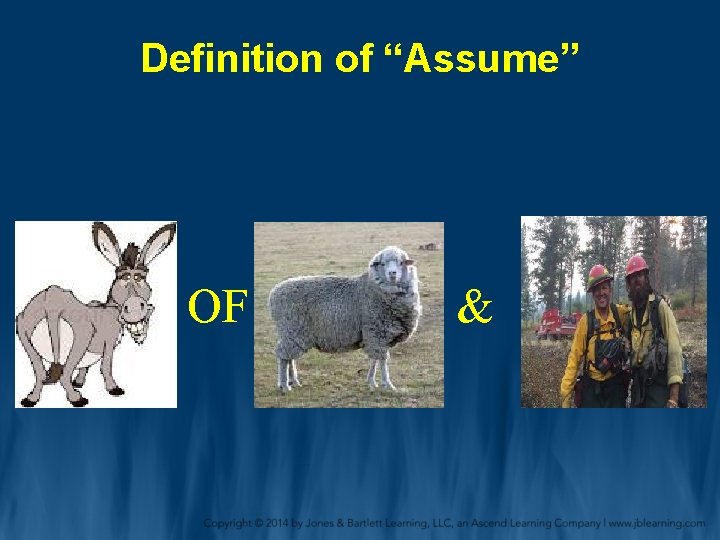 Definition of “Assume” OF & ? 