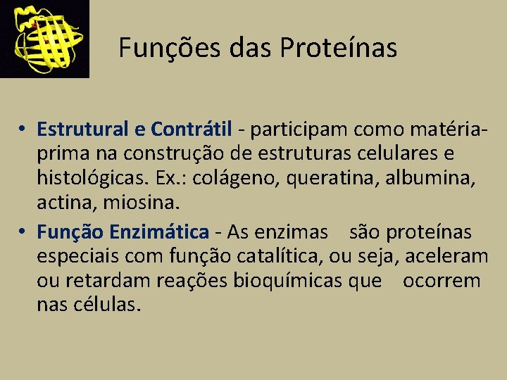 Funções das Proteínas • Estrutural e Contrátil - participam como matériaprima na construção de