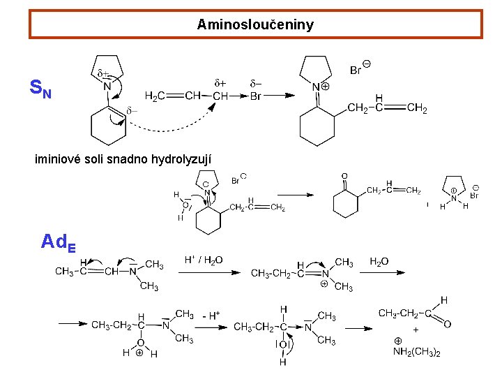 Aminosloučeniny SN iminiové soli snadno hydrolyzují Ad. E 