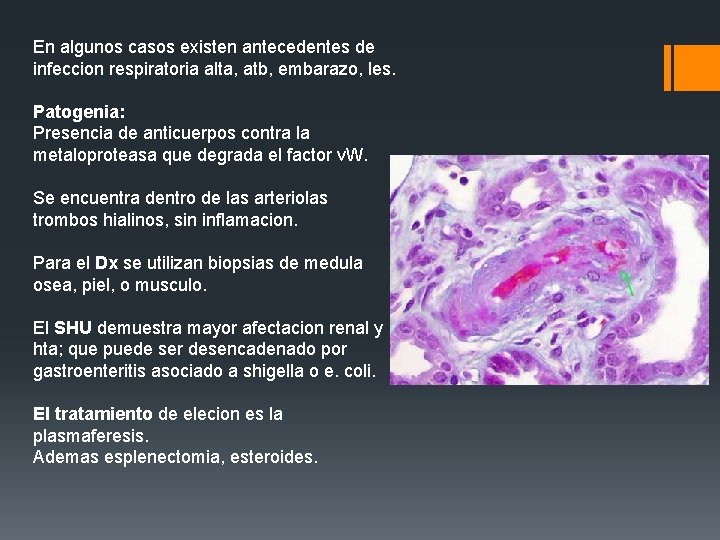 En algunos casos existen antecedentes de infeccion respiratoria alta, atb, embarazo, les. Patogenia: Presencia