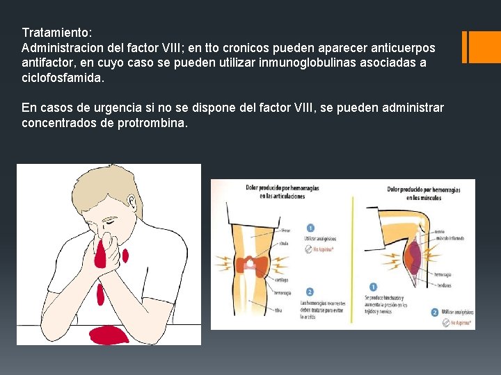 Tratamiento: Administracion del factor VIII; en tto cronicos pueden aparecer anticuerpos antifactor, en cuyo