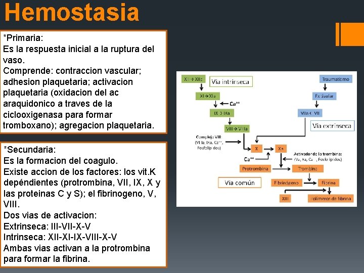 Hemostasia *Primaria: Es la respuesta inicial a la ruptura del vaso. Comprende: contraccion vascular;