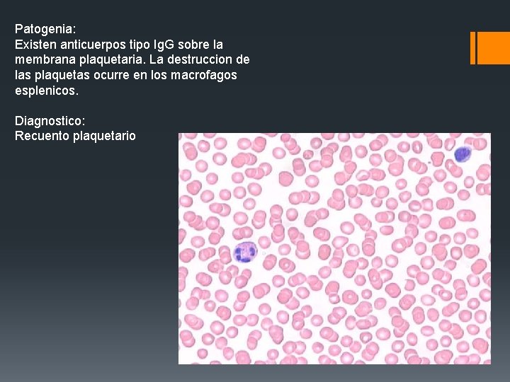 Patogenia: Existen anticuerpos tipo Ig. G sobre la membrana plaquetaria. La destruccion de las