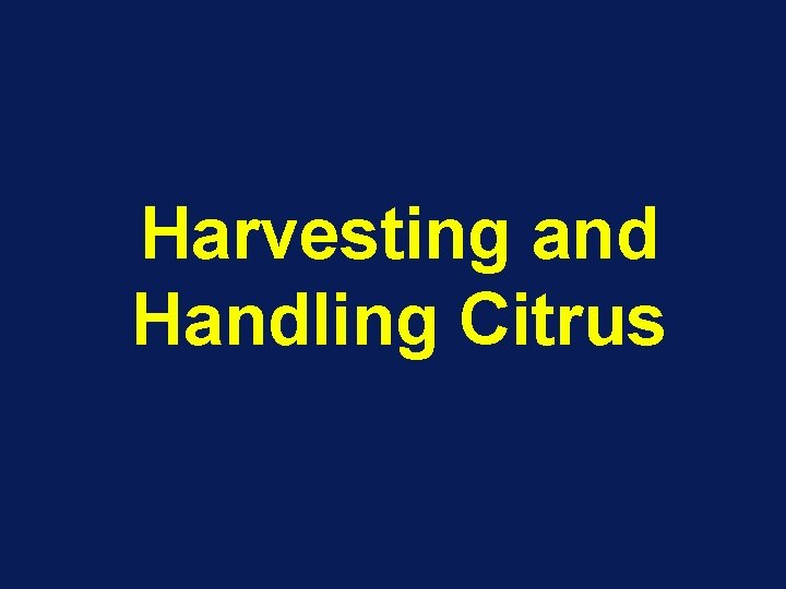 Harvesting and Handling Citrus 