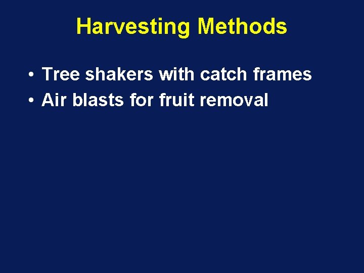 Harvesting Methods • Tree shakers with catch frames • Air blasts for fruit removal