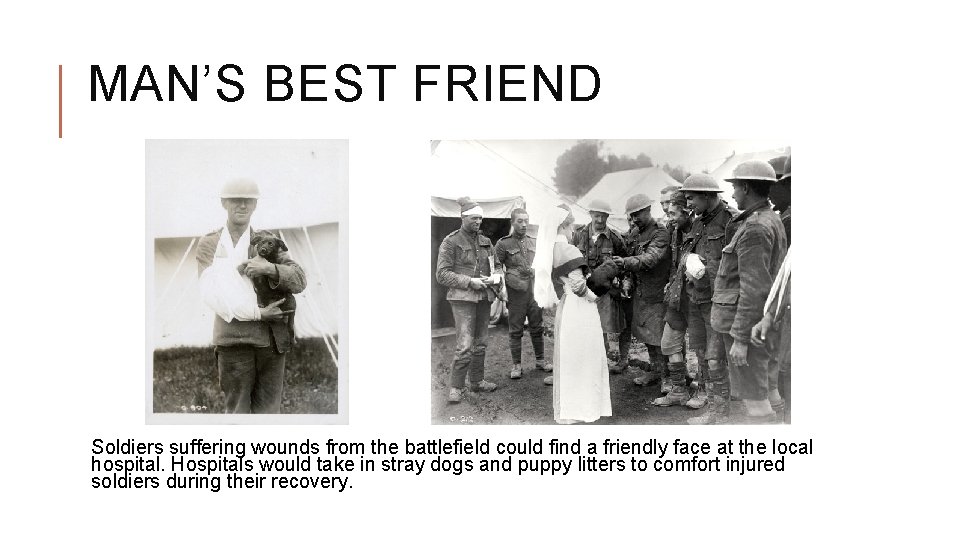 MAN’S BEST FRIEND Soldiers suffering wounds from the battlefield could find a friendly face MAN’S BEST FRIEND Soldiers suffering wounds from the battlefield could find a friendly face