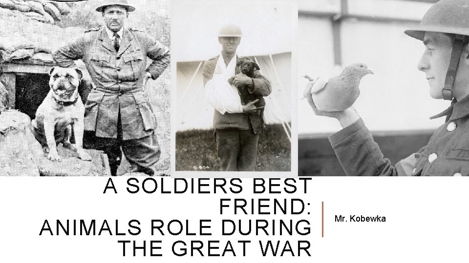 A SOLDIERS BEST FRIEND: ANIMALS ROLE DURING THE GREAT WAR Mr. Kobewka A SOLDIERS BEST FRIEND: ANIMALS ROLE DURING THE GREAT WAR Mr. Kobewka
