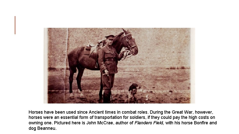 Horses have been used since Ancient times in combat roles. During the Great War, Horses have been used since Ancient times in combat roles. During the Great War,