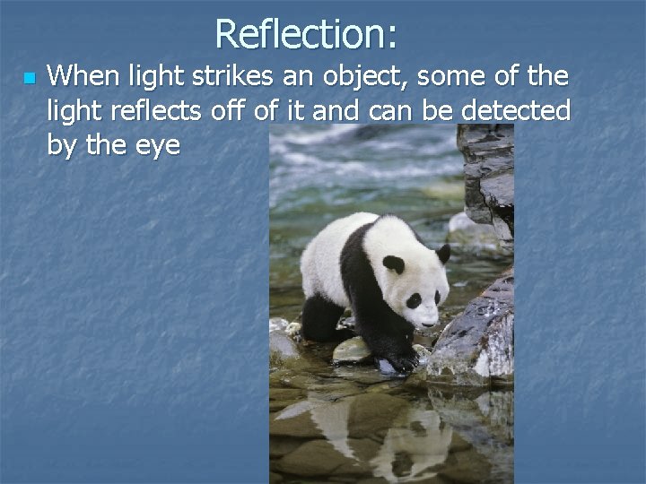 Reflection: n When light strikes an object, some of the light reflects off of