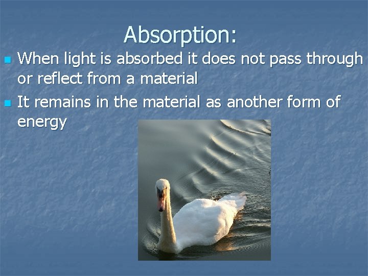 Absorption: n n When light is absorbed it does not pass through or reflect