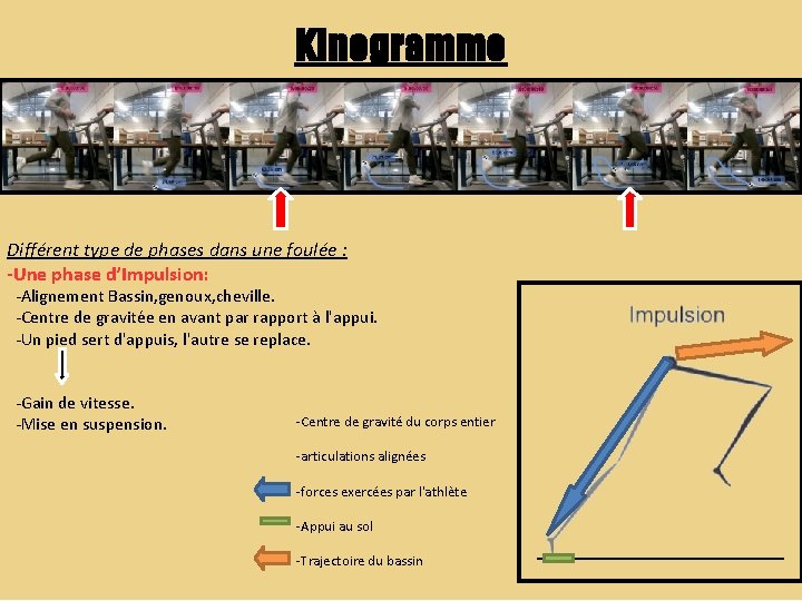 Kinogramme Différent type de phases dans une foulée : -Une phase d’Impulsion: -Alignement Bassin,