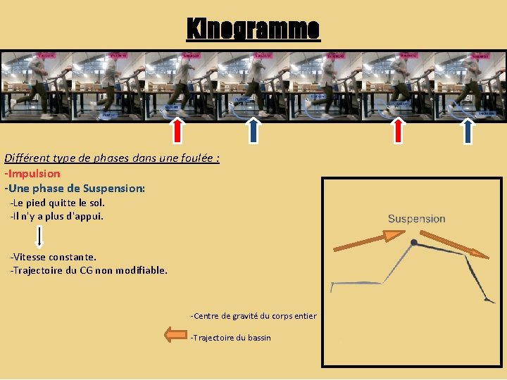 Kinogramme Différent type de phases dans une foulée : -Impulsion -Une phase de Suspension: