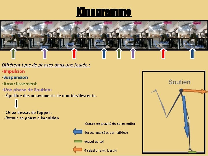 Kinogramme Différent type de phases dans une foulée : -Impulsion -Suspension -Amortissement -Une phase