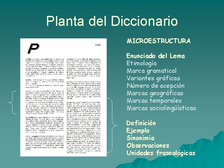 Planta del Diccionario MICROESTRUCTURA Enunciado del Lema Etimología Marca gramatical Variantes gráficas Número de
