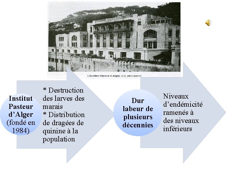 * Destruction Institut des larves des Pasteur marais d’Alger * Distribution (fondé en de