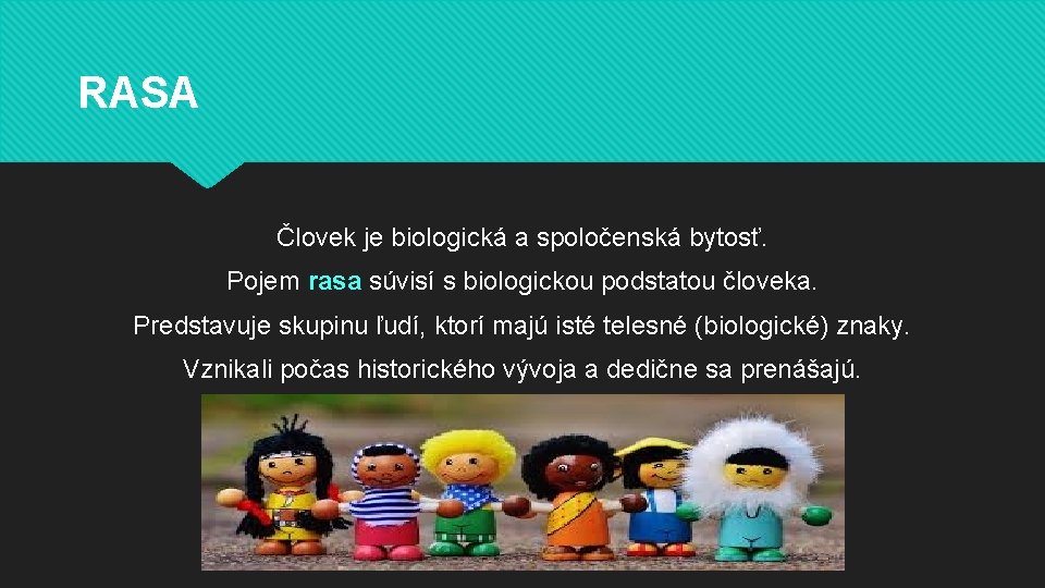 RASA Človek je biologická a spoločenská bytosť. Pojem rasa súvisí s biologickou podstatou človeka.