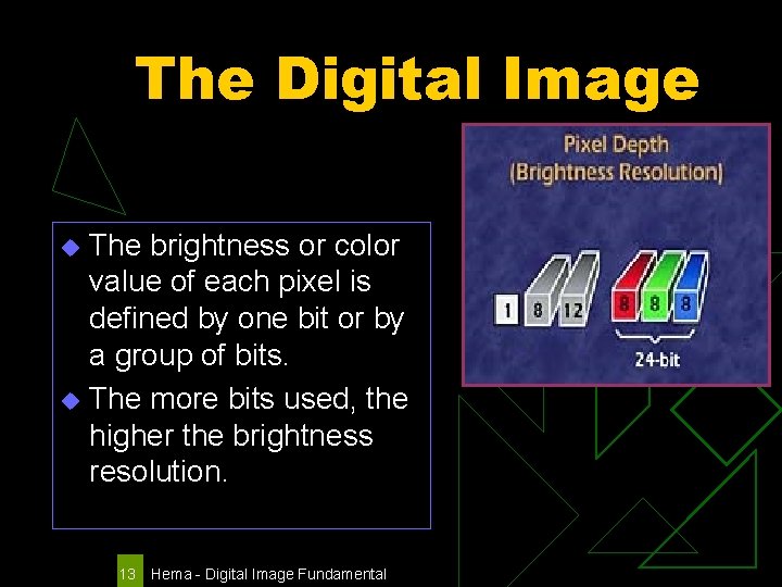 The Digital Image The brightness or color value of each pixel is defined by