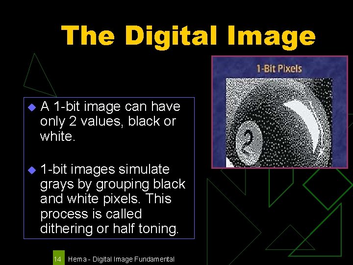 The Digital Image u A 1 -bit image can have only 2 values, black