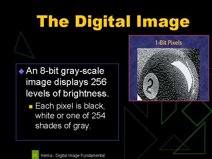 The Digital Image u An 8 -bit gray-scale image displays 256 levels of brightness.