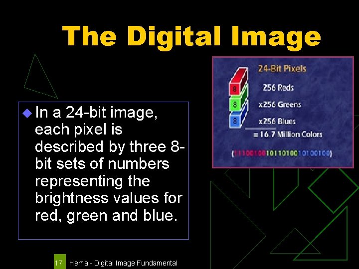 The Digital Image u In a 24 -bit image, each pixel is described by