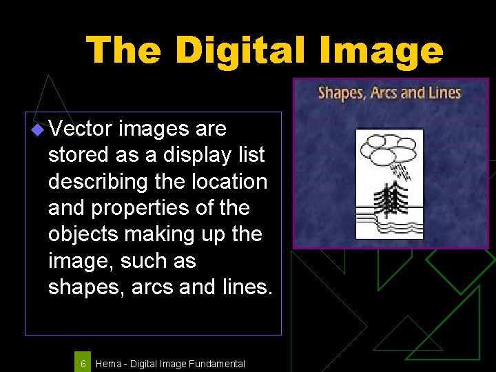 The Digital Image u Vector images are stored as a display list describing the
