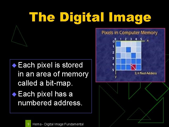 The Digital Image u Each pixel is stored in an area of memory called
