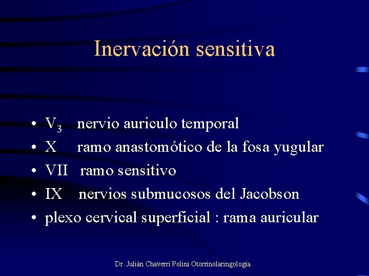 Inervación sensitiva • • • V 3 nervio auriculo temporal X ramo anastomótico de