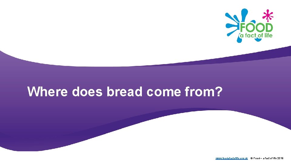 Where does bread come from? www. foodafactoflife. org. uk © Food – a fact