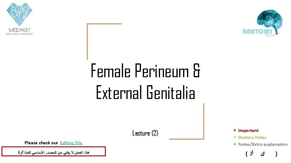 Female Perineum & External Genitalia Lecture (2) Please check our Editing File ﻟﻠﻤﺬﺍﻛﺮﺓ ﺍﻷﺴﺎﺳﻲ