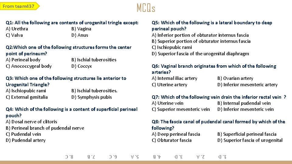 MCQs Q 4: Which of the following is a content of superficial perineal pouch?