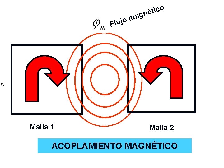 a m o j Flu Malla 1 o c i t é gn Malla