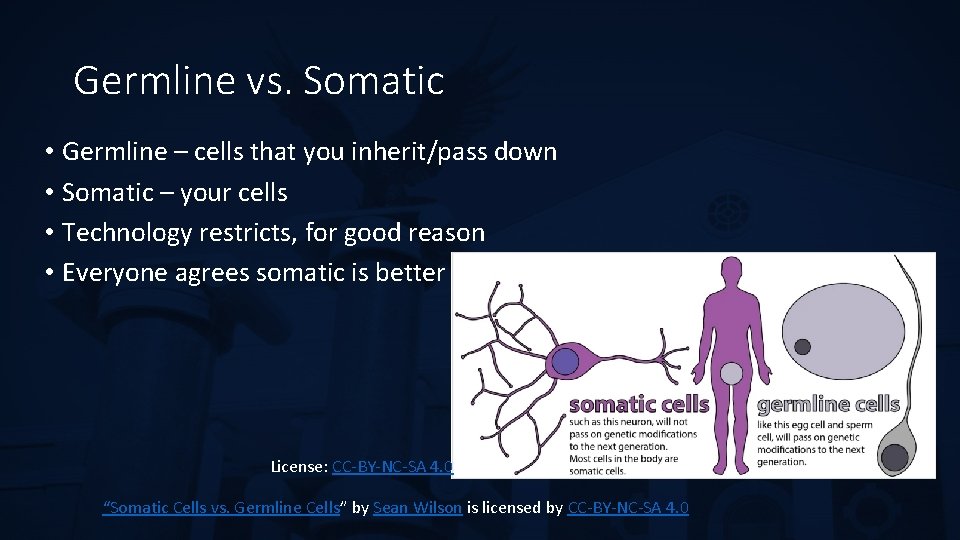 Germline vs. Somatic • Germline – cells that you inherit/pass down • Somatic –