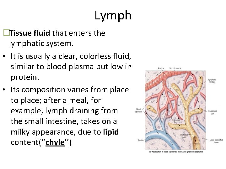 Lymph �Tissue fluid that enters the lymphatic system. • It is usually a clear,