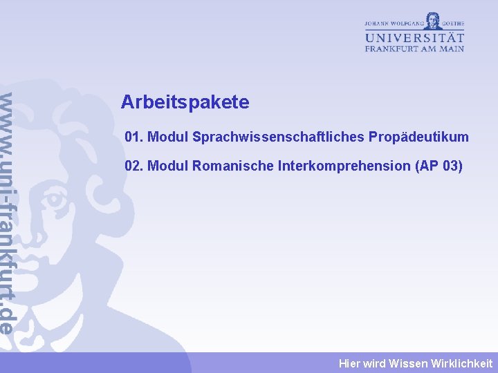 Arbeitspakete 01. Modul Sprachwissenschaftliches Propädeutikum 02. Modul Romanische Interkomprehension (AP 03) Hier wird Wissen