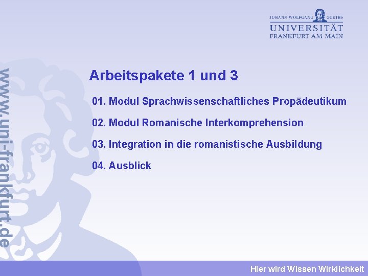 Arbeitspakete 1 und 3 01. Modul Sprachwissenschaftliches Propädeutikum 02. Modul Romanische Interkomprehension 03. Integration Arbeitspakete 1 und 3 01. Modul Sprachwissenschaftliches Propädeutikum 02. Modul Romanische Interkomprehension 03. Integration